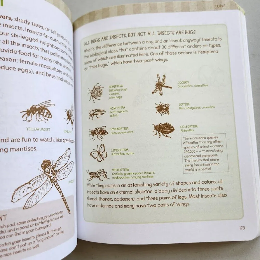 Nature Journal Atcitty Book Workbook Clare Walker Leslie The Nature Connection